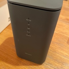 home5G HR02 ダークグレイの画像