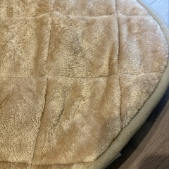 【譲り先確定】ニトリカーペット 200×240