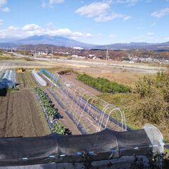 家庭菜園楽しみたい方・農業ちょっと体験してみたい方