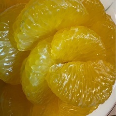 1級品！和歌山県産 ハッサク 10キロ 八朔 の画像