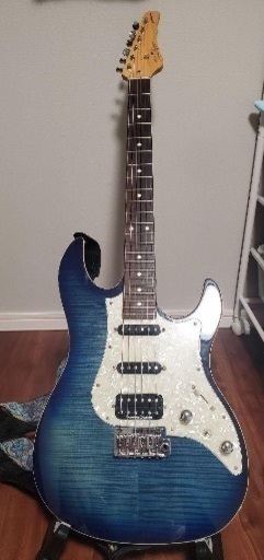 弦楽器、ギター FUJIGEN J-Standard ODYSSEY