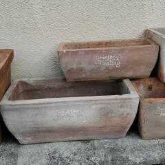 【譲渡先が決まりました！】テラコッタの鉢植え　6個　無料　古いものがお好きな方にの画像