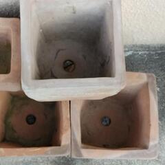 【譲渡先が決まりました！】テラコッタの鉢植え　6個　無料　古いものがお好きな方にの画像