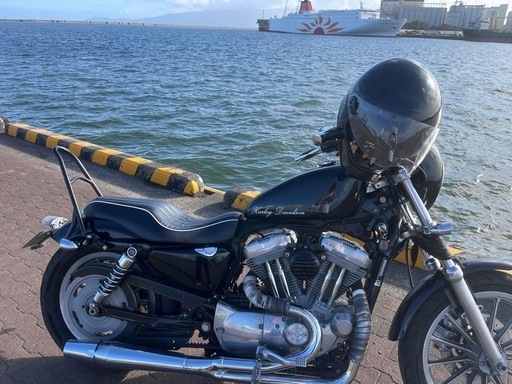 ハーレーダビットソン
xl883l
