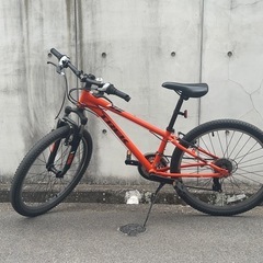 TREK プレキャリバー　24inchの画像