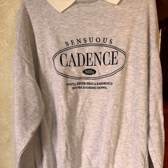 3月末まで処分１回使用