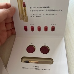 いろいろなお試し版セットの画像