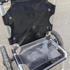 ドッペルゲンガー　キャリーワゴンの画像