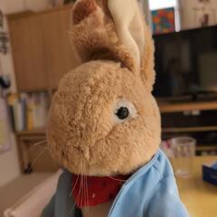 ピーターラビットの画像