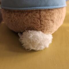 ピーターラビットの画像