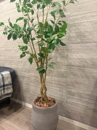 【購入2年半以内、美品】フェイクグリーン、鉢植え、底上げ用ウッドチップ付き