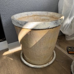 植木鉢 土付き