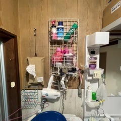 洗剤　掃除用品　取り放題