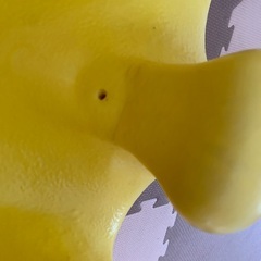バンボの画像