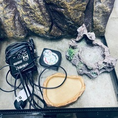 爬虫類 用品 まとめうりの画像