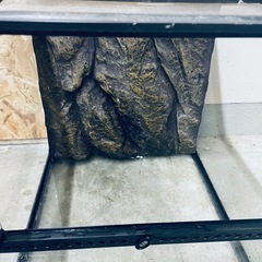 爬虫類 用品 まとめうりの画像