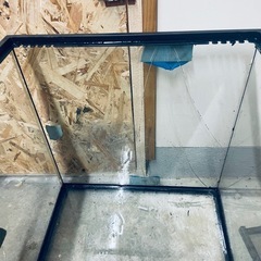 爬虫類 用品 まとめうりの画像