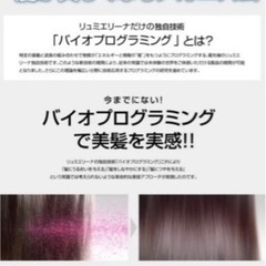 リュミエリーナヘアドライヤー HAIRBEAUZER ExcelelleMium 2の画像