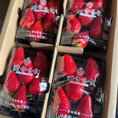 極甘人気No. 1🍓愛きらり沢山入荷しました！✨