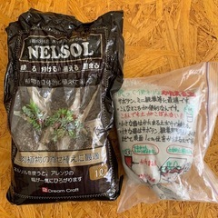 多肉のアレンジに ネルソル　と　固まる土