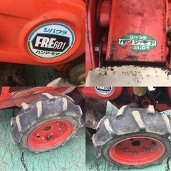 シバウラ　ハンマーモア　FRE601の画像