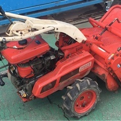 シバウラ　ハンマーモア　FRE601