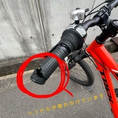 TREK プレキャリバー　24inchの画像