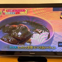 Panasonic VIERA 50インチ　2010年製　純正リ...