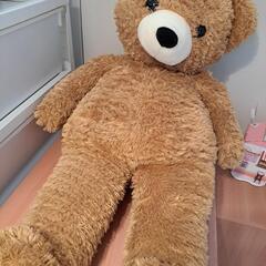 くまのぬいぐるみ