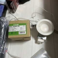 Panasonic DL