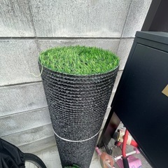 人工芝生の画像