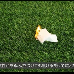 人工芝生の画像