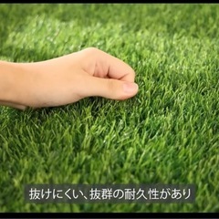 人工芝生の画像