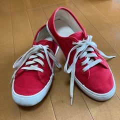 【男女兼用】スニーカー25cmの画像