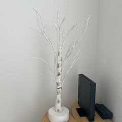 ブランチツリー 白樺 クリスマスツリーの画像