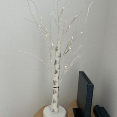 ブランチツリー 白樺 クリスマスツリーの画像