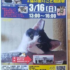 3月16日東尾道で保護猫の譲渡会