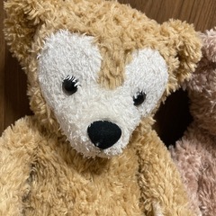 ダフィーとシェリーメイ　ディズニーの画像