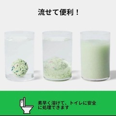 新品未使用　ベトレスカ おから猫砂 猫砂 脱臭 抗菌 真空パック 2.5kg 緑茶の香りの画像