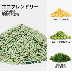 新品未使用　ベトレスカ おから猫砂 猫砂 脱臭 抗菌 真空パック 2.5kg 緑茶の香りの画像