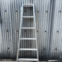 長谷川工業脚立の画像