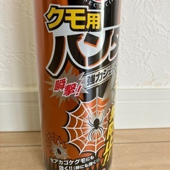 【最終値下げ‼️】キンチョール　クモ用ハンター　新品の画像