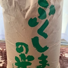 玄米30kg新米
