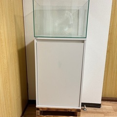 aquascape