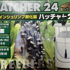 (今だけ稚魚5匹付き)ブラインシュリンプ孵化器新品未使用