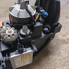 スティングレーの画像