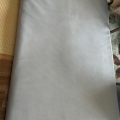 ボナノッテ