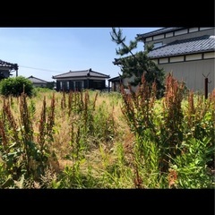 草刈り、庭木手入れ
