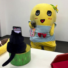 私と同じ、天涯孤独の女性の方、募集です。 - 松戸市