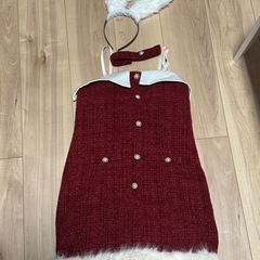 サンタコスの画像